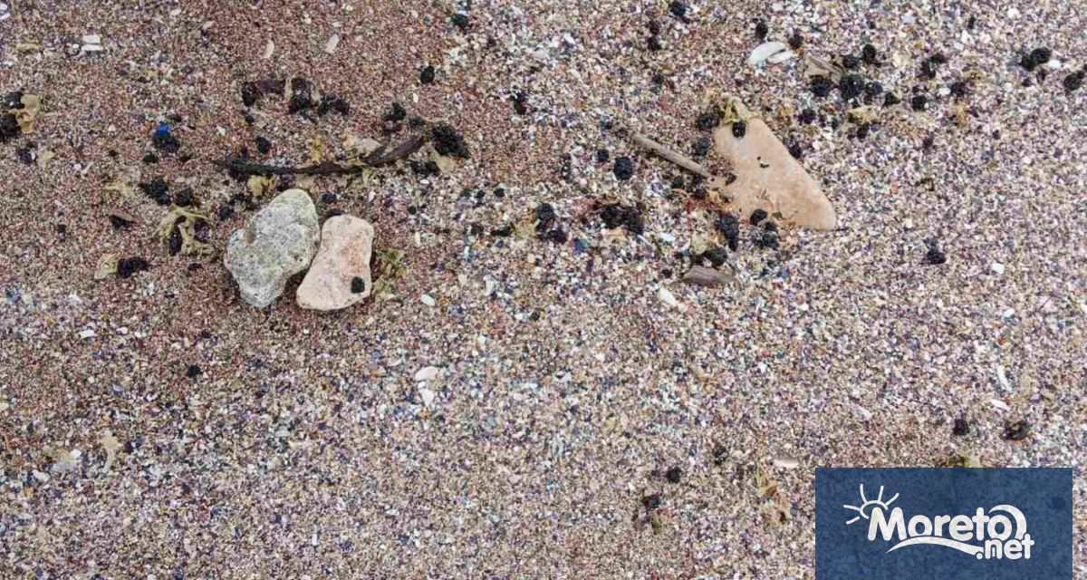 Пясъчната ивица в района на плажовете Крапец Юг и Шабла