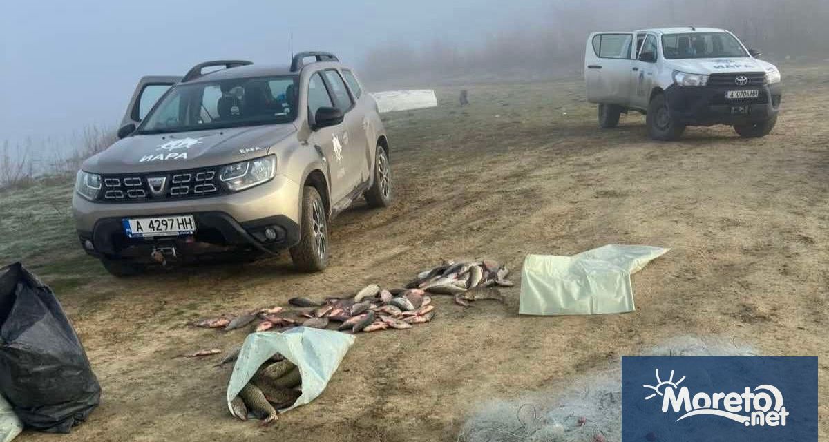 Служители на ИАРА – Варна са установили нарушение при проверка