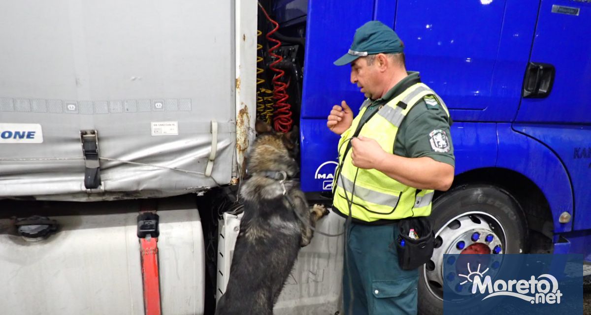 Митнически служители и гранични полицаи откриха 107 пакета с марихуана
