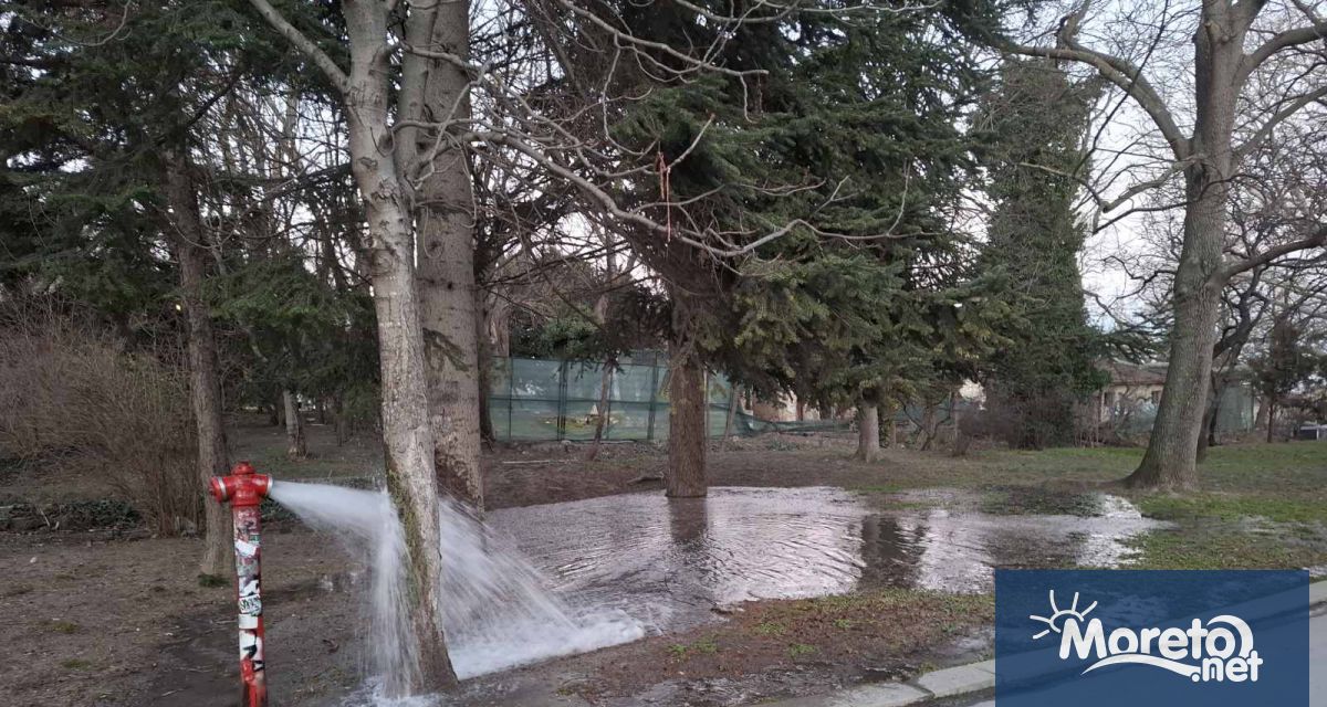 До около полунощ част от Приморски парк и алея №1