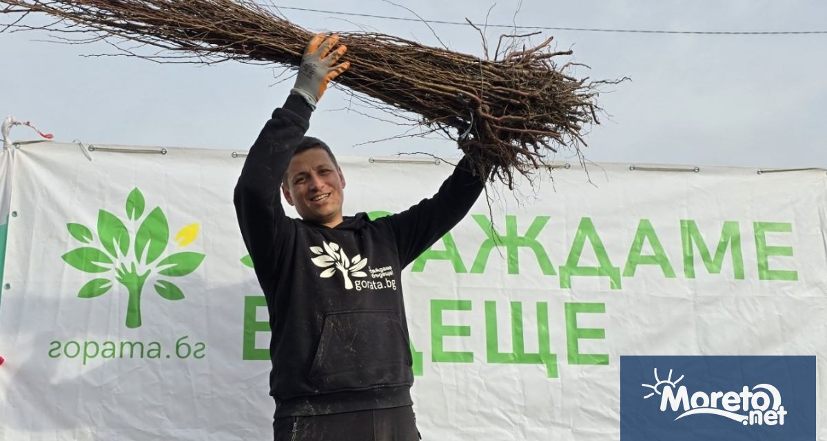 30 000 дръвчета се раздават безплатно днес на жители и