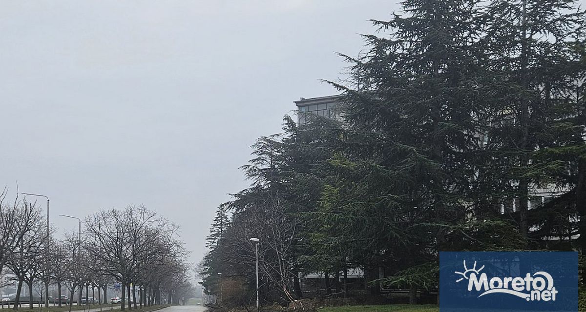 Паралелно с подмяната на уличното осветление в кв Чайка ще