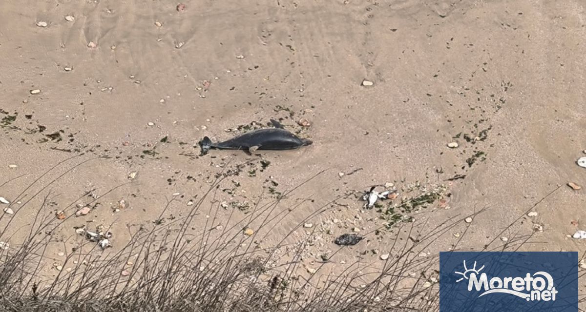 Министерство на околната среда и водите МОСВ предаде на прокуратурата