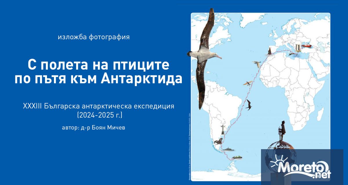 Фотоизложбата С полета на птиците по пътя към Антарктида ще