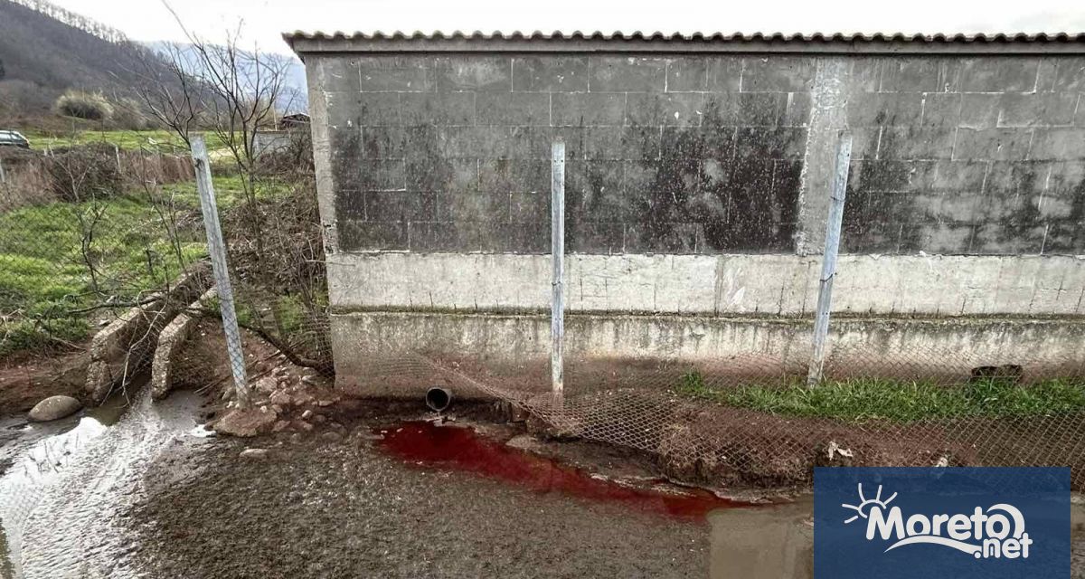 Гъста тъмна течност с органичен произход която според първоначалните наблюдения