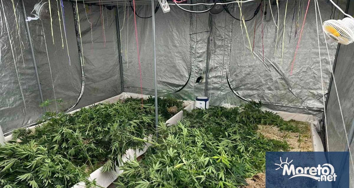 Специализирана полицейска операция срещу разпространението на наркотични вещества е проведена