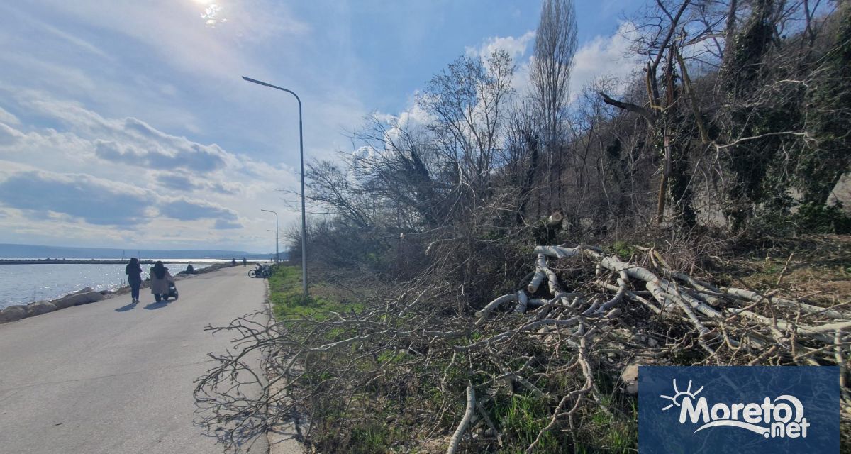 Сеч в района на Трета буна притесни варненци разхождащи се