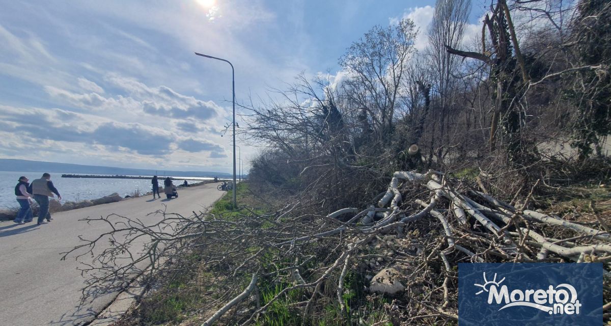 Сеч в района на Трета буна притесни варненци разхождащи се