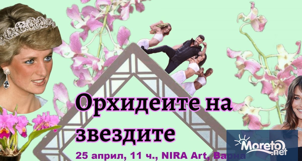 Първо орхидеено общество кани варненци на тематична среща Орхидеите на