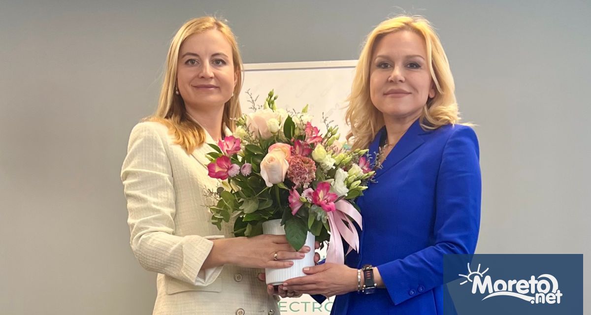 Габриела Наплатанова беше избрана за председател на Съвета за електронни