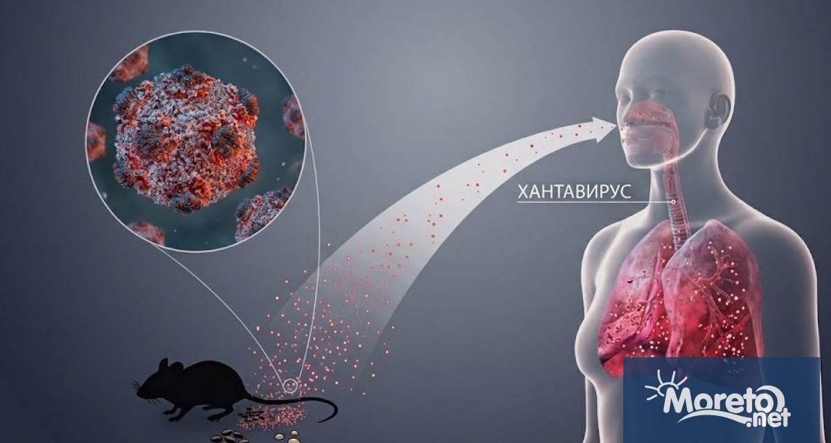 Атлантическият круизен кораб остава под изолация край бреговете на Южна