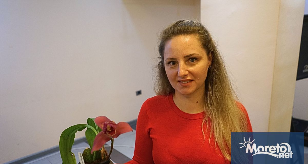 Изискани колекционерски орхидеи от различни части на света които цъфтят