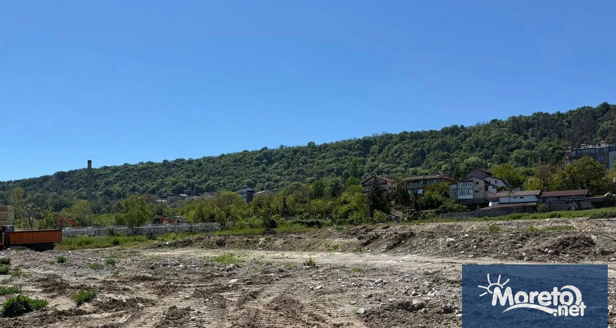 Пореден случай на незаконно отсичане на дърво в район Аспарухово
