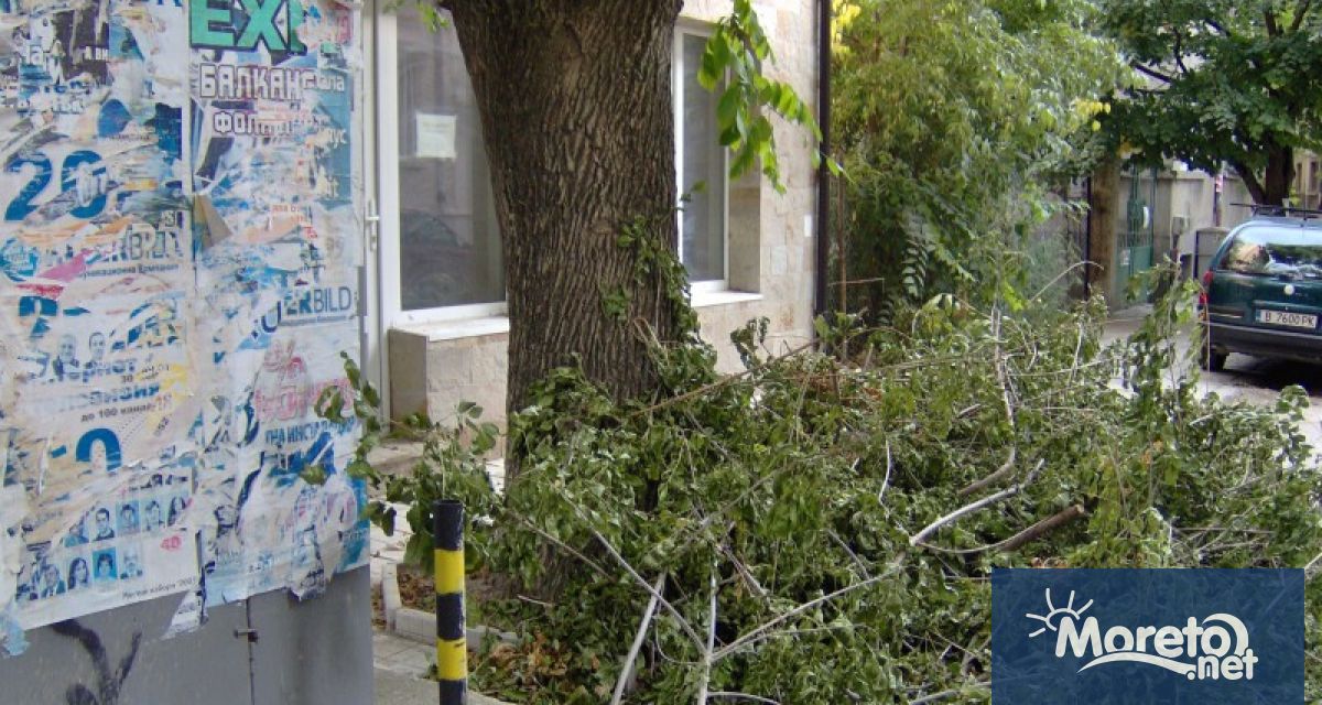 До 15 септември спешно да бъде извършена резитбата на сухи