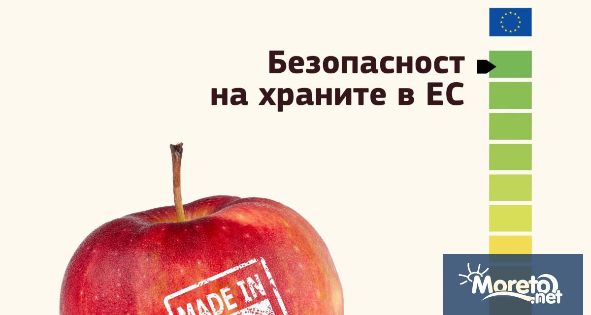 На 7 юни светът отбелязва Световния ден за безопасност на