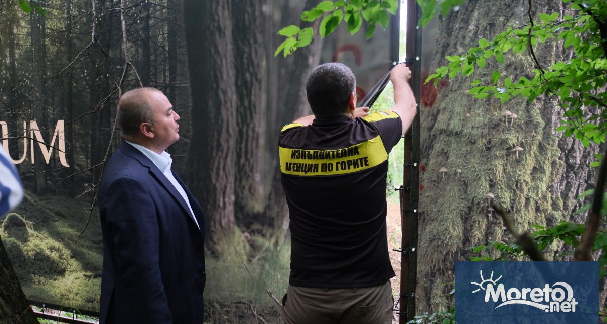 В местността Баба Алино край Варна тази сутрин започна премахване