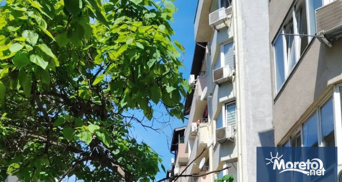 Аварийно премахване на дърво от вида каталпа ще бъде извършено
