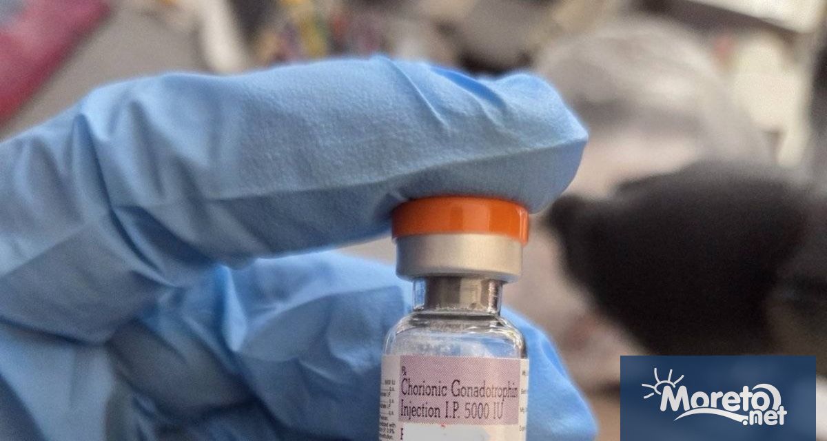 Нелегална лаборатория за производство на хормонални препарати е била разкрита