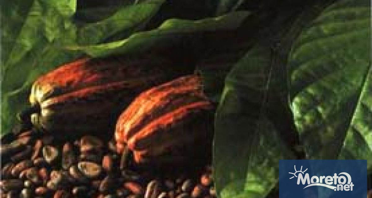 Новите форми на работа и съвременният начин на живот се