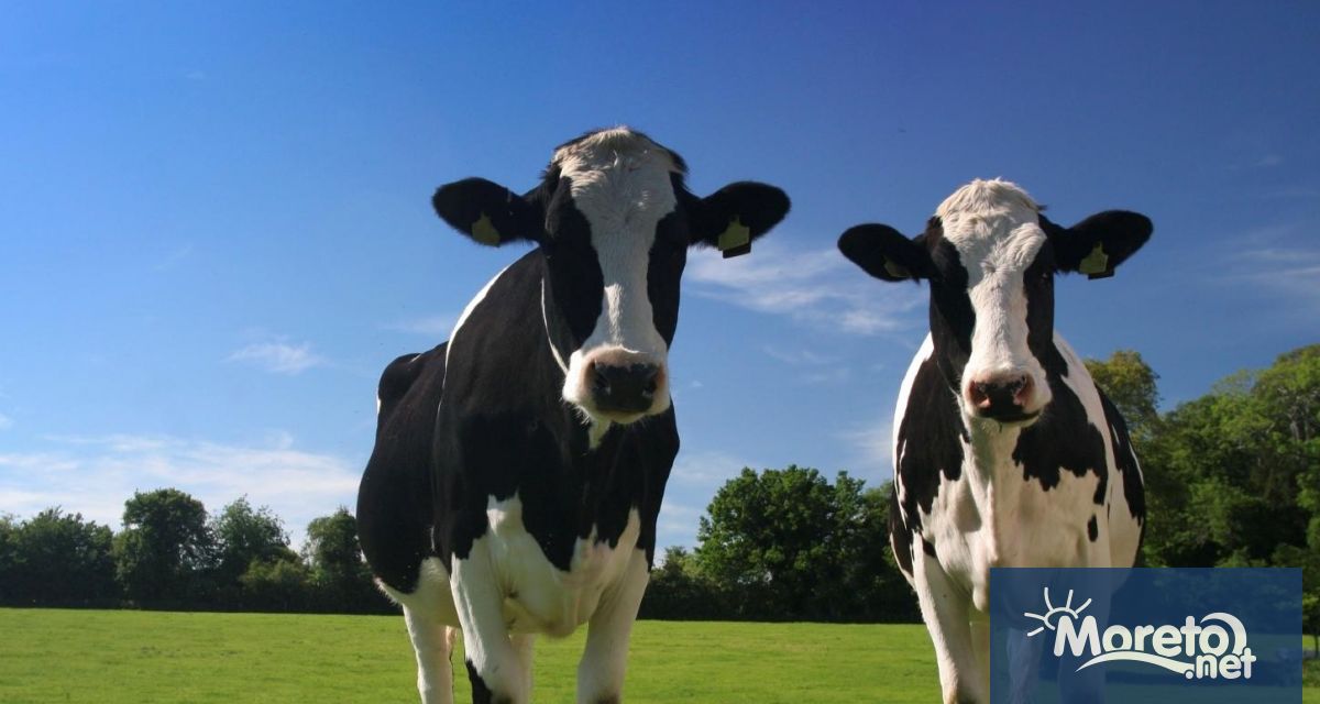 Държавен фонд Земеделие ДФЗ изплати 16 6 млн лв 16 617 828 84