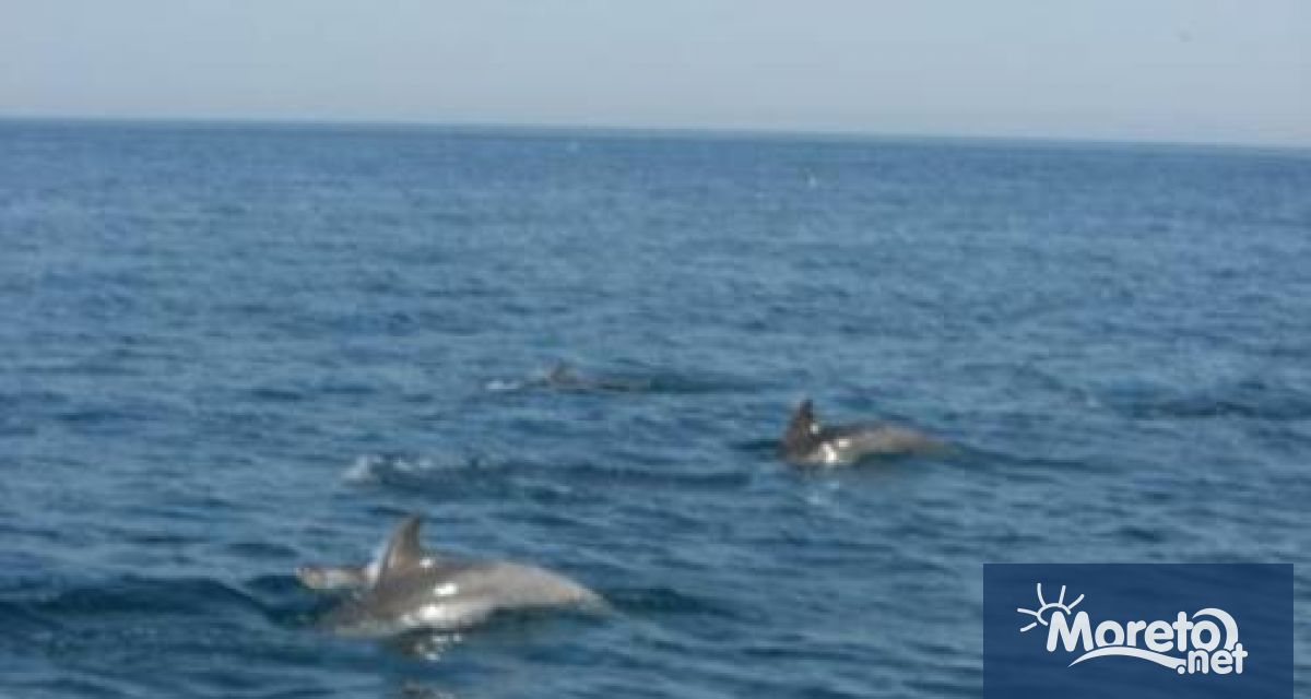 България прави още една стъпка към по добра защита на морската