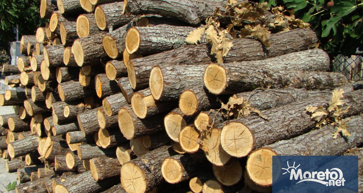 Гарантирано е пълното осигуряване с дърва за огрев за населението