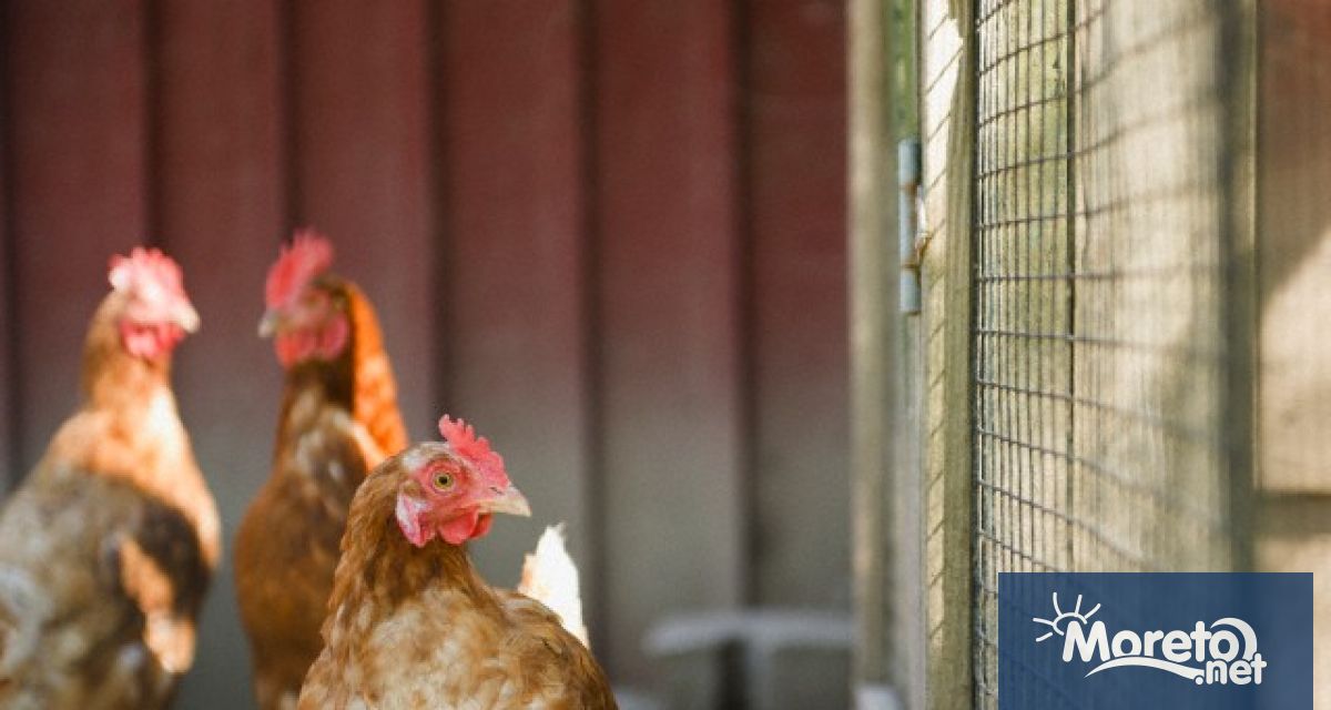 Европейската комисия одобри нотифицираната схема за държавна помощ Помощ за