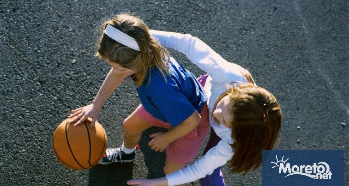 Поне 5000 спортни отбора и групи за занимания по различни