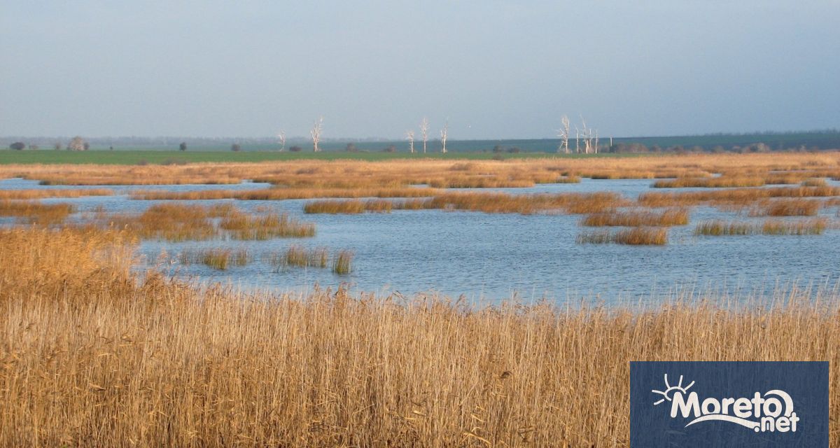 Министърът на околната среда и водите Юлиян Попов днес взе