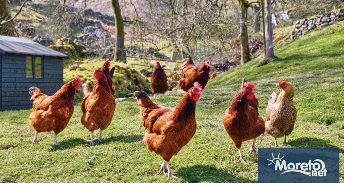 Българската агенция по безопасност на храните БАБХ и представители на