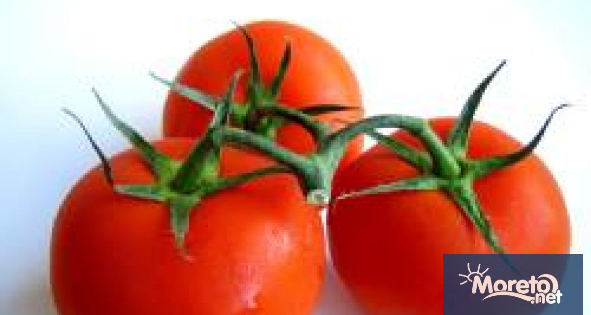 Доматите могат да бъдат отлично средство за превенция на сгъстяване