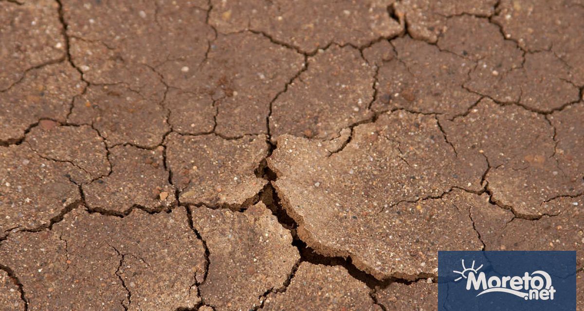 В Южна Франция заради сушата забраниха използването на градински плувни