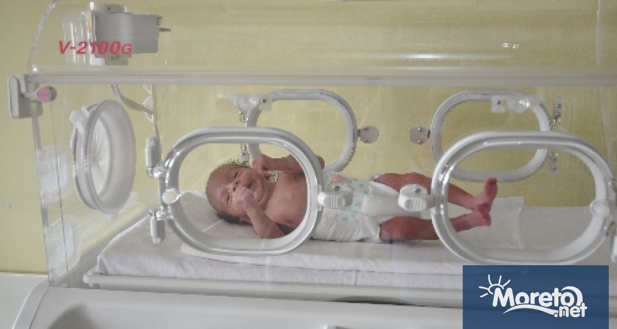 Всеки понеделник в Дома за медико социални грижи за деца в