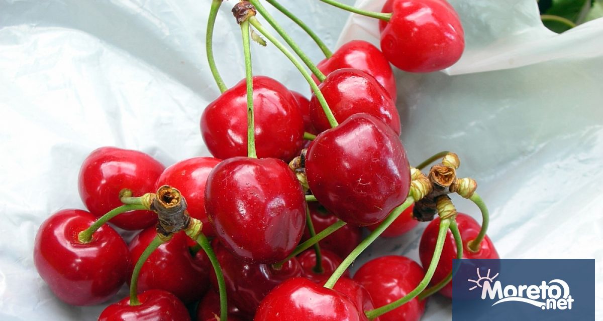 Снеговалежи и необичайно ниски температури за сезона нанесоха сериозни щети