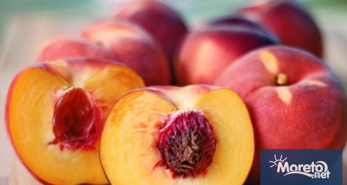 Производителите на праскови в Сливенския регион са в протестна готовност