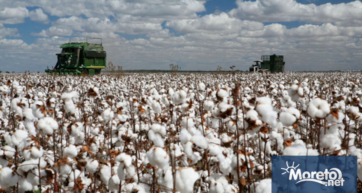 Държавен фонд Земеделие ДФЗ преведе близо 2 млн лв 1 867