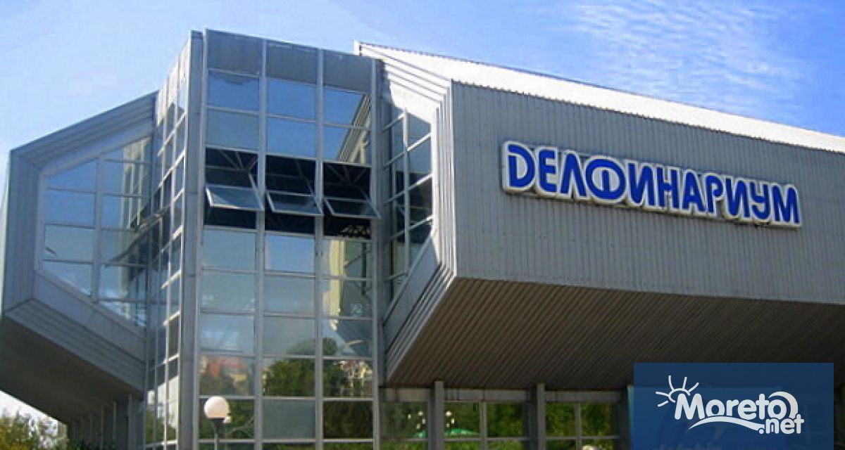 Делфинариумът във Варна ще има безплатни представления за деца на