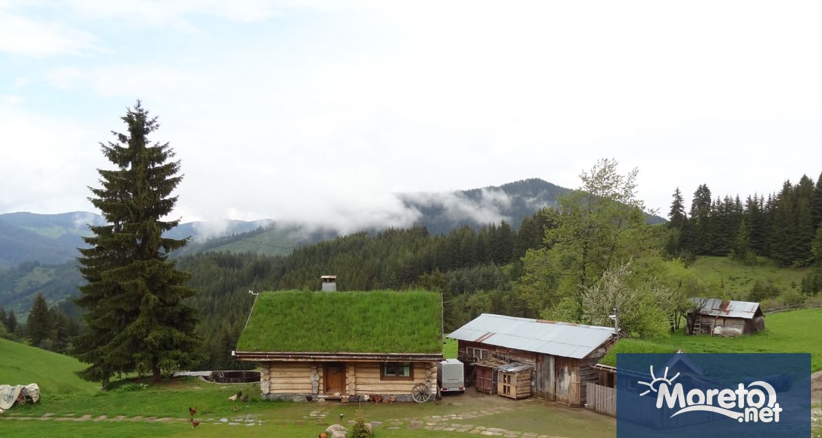 Пандемията промени из основи нашия живот Навиците станаха други засили