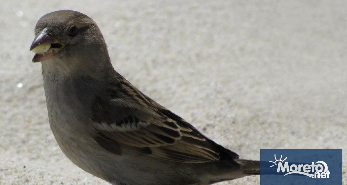 Притеснителна статистика За последните 10 години броят на едни от