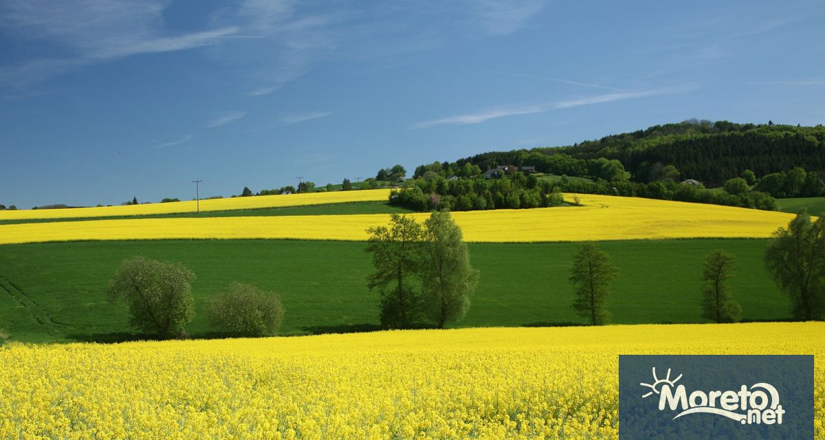 Стандартите 5 6 7 и 8 за добро земеделско и