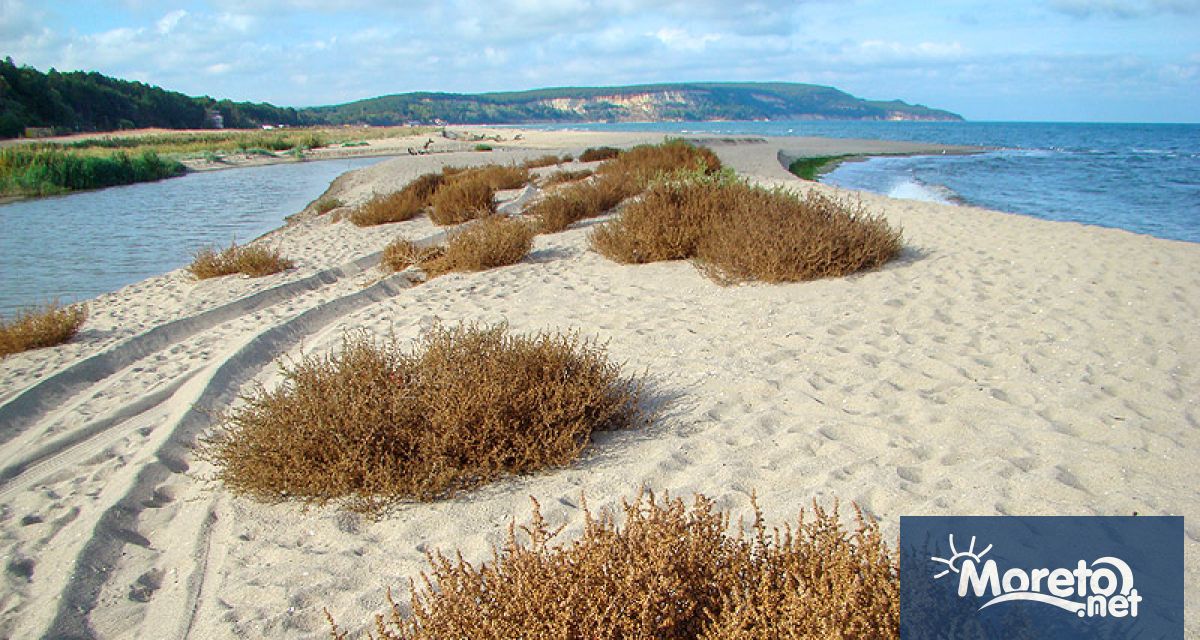 Мерки за опазване на определени животински видове ще бъдат реализирани