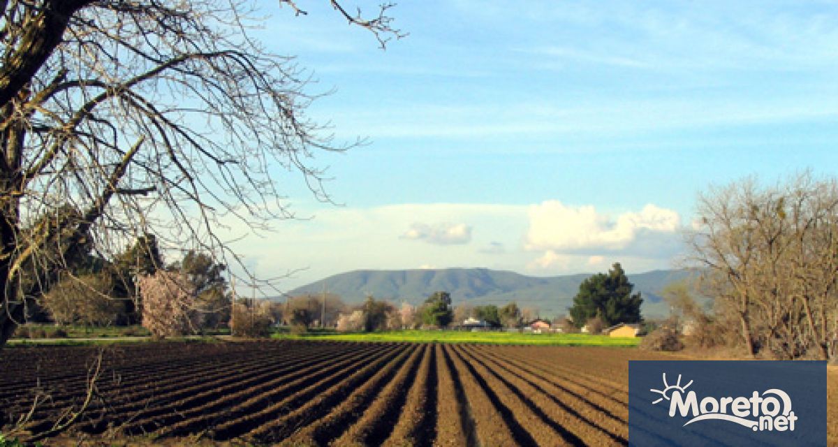 Министерството на земеделието и храните публикува Насоки за прилагане на