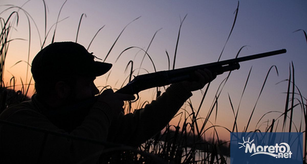 Новия ловен сезон за пернат дивеч пъдпъдъци гургулици гривяк горски