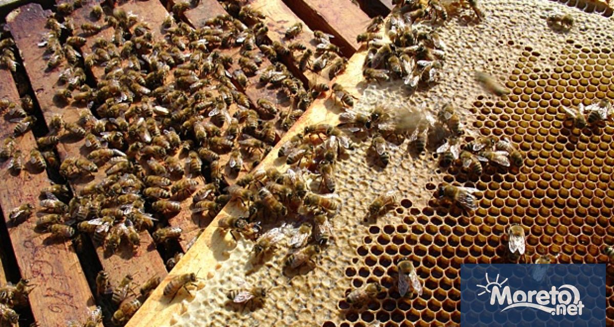 Районният съд във Варна осъди 55 годишен предизвикал по непредпазливост палеж