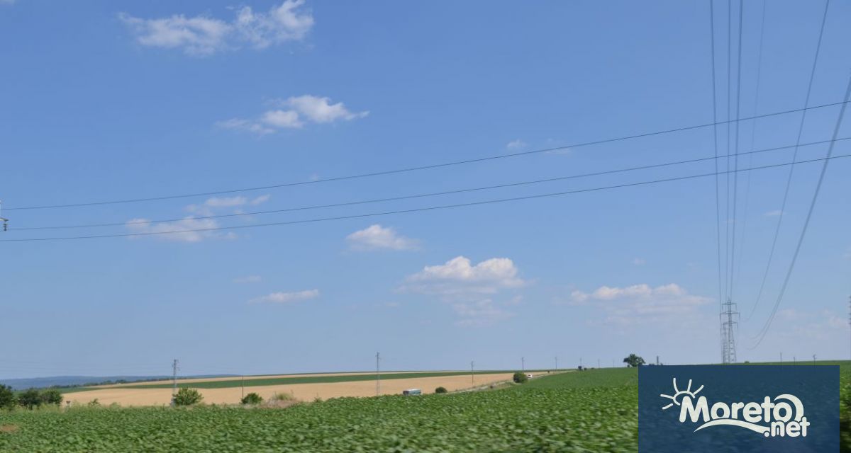 Предварителните оценки сочат финансови щети за няколкостотин хиляди евро годишно