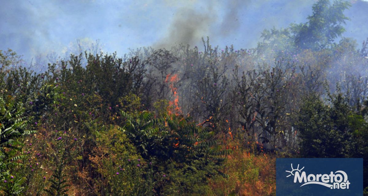 39 годишен мъж от луковитско село е задържан по подозрение в