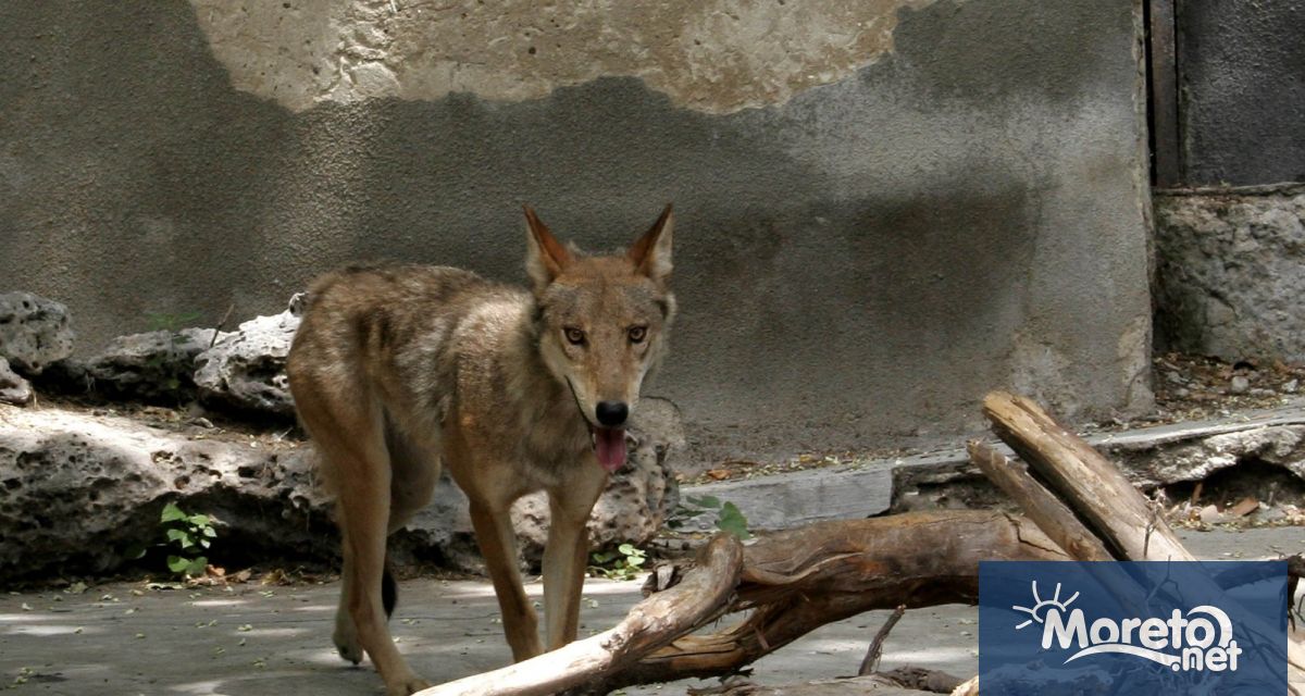 Да се удължи срокът за усвояване на заема необходим за