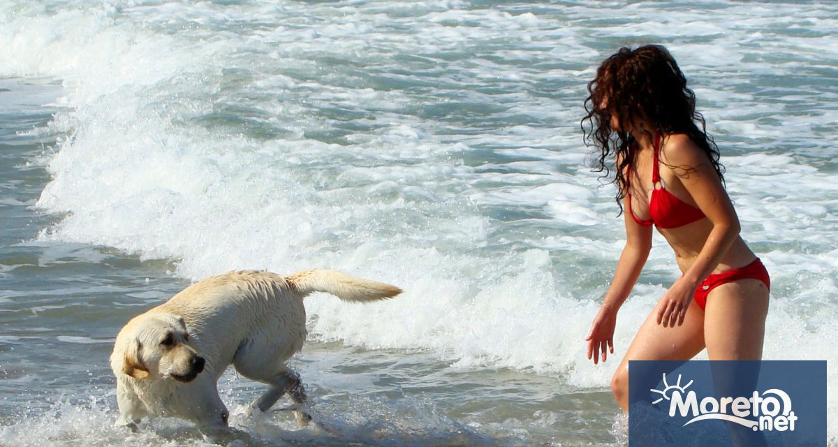 След дълги дискусии съветниците от ПК Обществен ред и сигурност