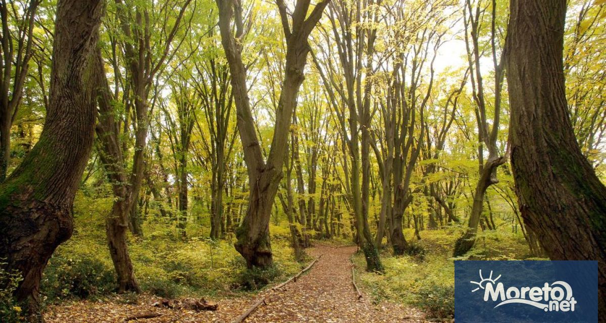 Публично обсъждане по изпълнението на Плана за управление на природен