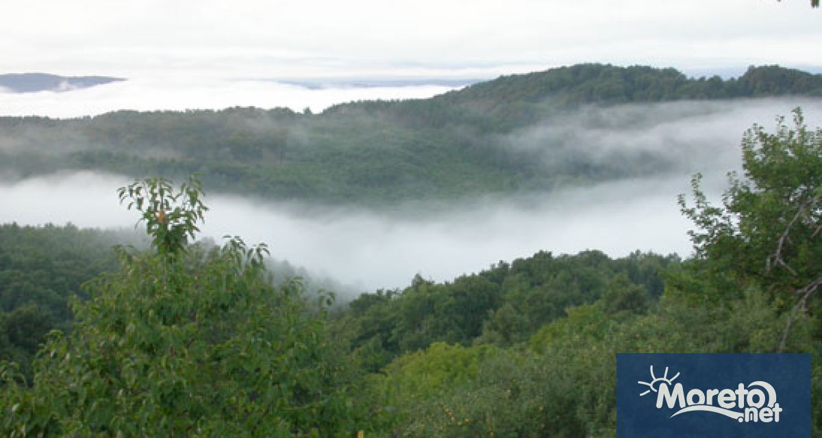 Европейският ден на парковете е обявен от Европейската федерация на